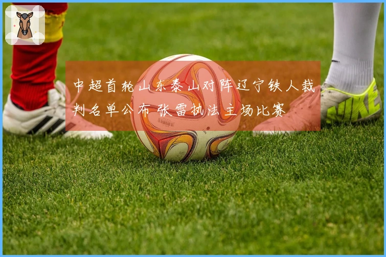 中超首轮山东泰山对阵辽宁铁人裁判名单公布 张雷执法主场比赛